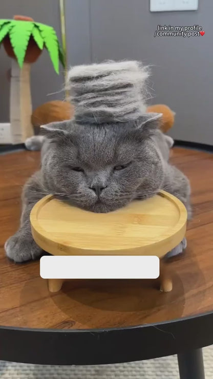 Cat & Dog Pet Hair Remover Grooming Comb – One-Key Clean Shedding Brush